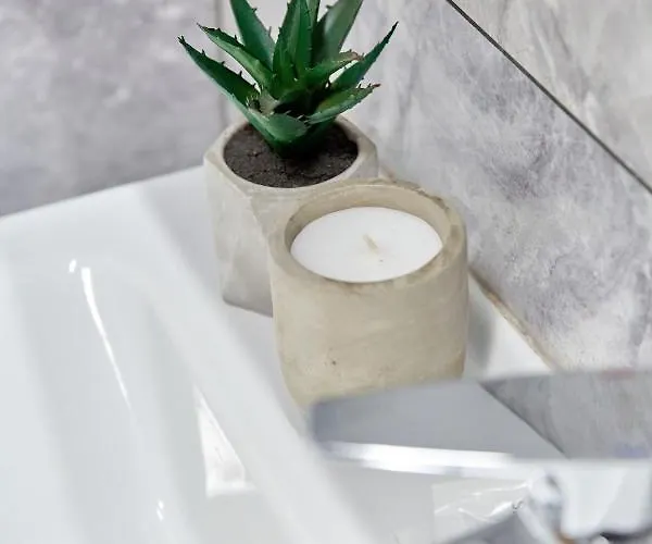 Garsoniera Alegria Solid House Mamaia