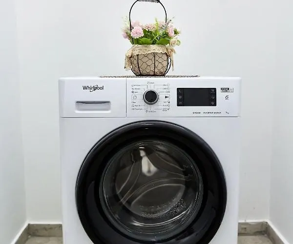 Garsoniera Alegria Solid House Appartement *