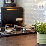 Lejlighed Garsoniera Alegria Solid House *