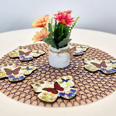 Garsoniera Alegria Solid House *