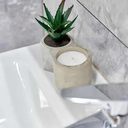 Garsoniera Alegria Solid House Mamaia