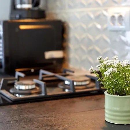 Appartamento Garsoniera Alegria Solid House *