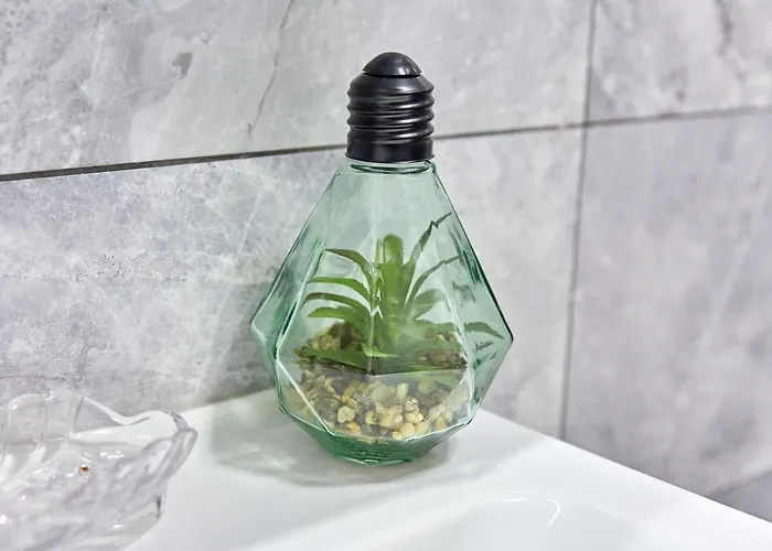 Garsoniera Alegria Solid House ママイア