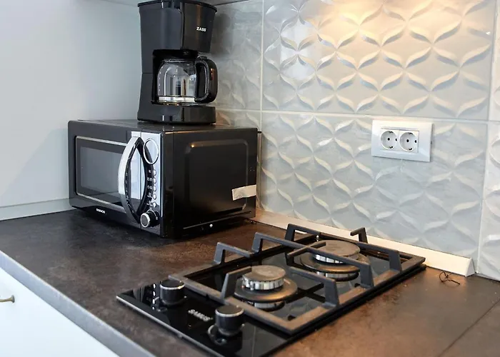 Garsoniera Alegria Solid House アパート *