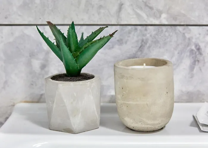 Garsoniera Alegria Solid House ママイア