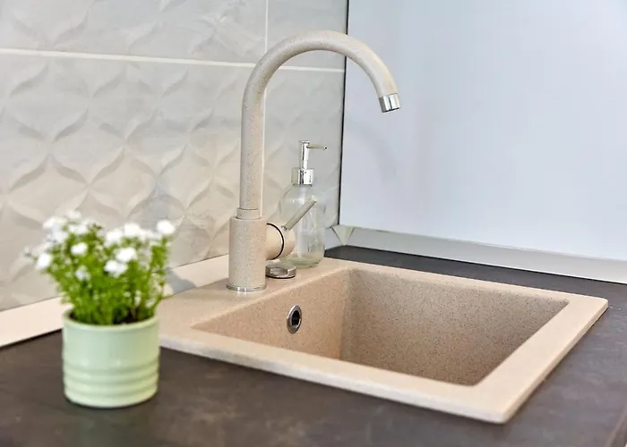 Garsoniera Alegria Solid House アパート ママイア