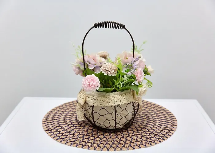 アパート Garsoniera Alegria Solid House