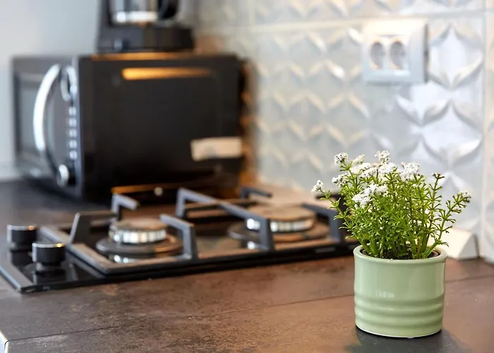 アパート Garsoniera Alegria Solid House *